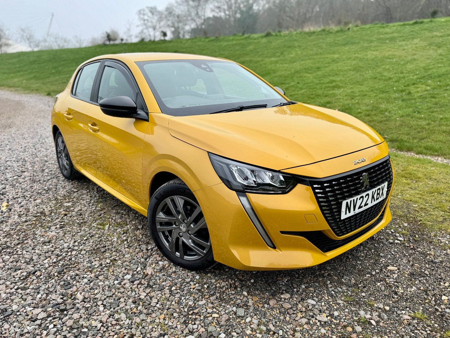 2022 Peugeot 208 PURETECH ACTIVE PREMIUM S/S, photo 1